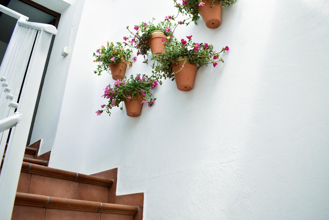 Casa Calma Ronda Estudio Apartment Exterior foto